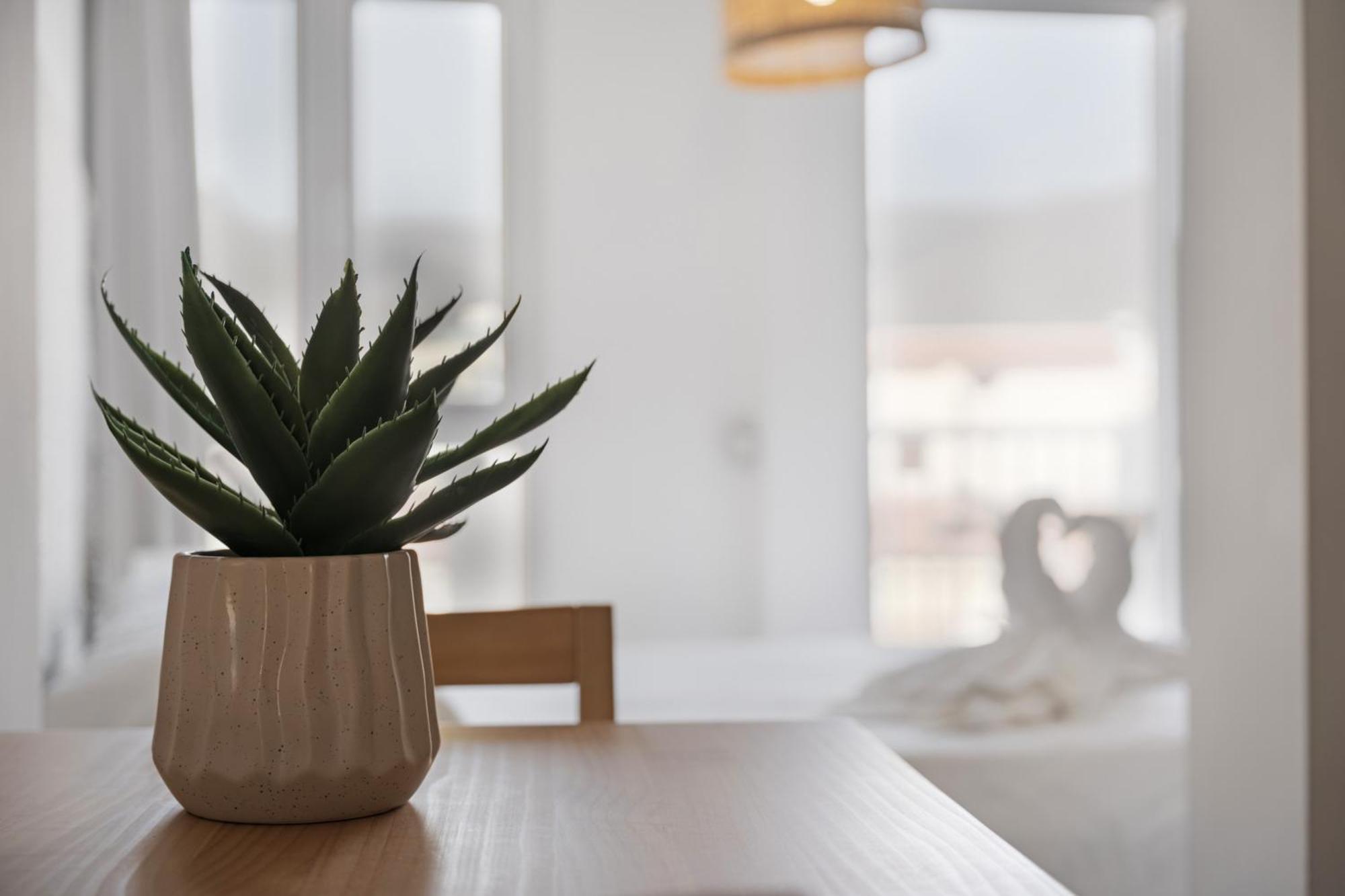 Apartamento La Pista Sur Сан-Себастьян-де-ла-Гомера Екстер'єр фото